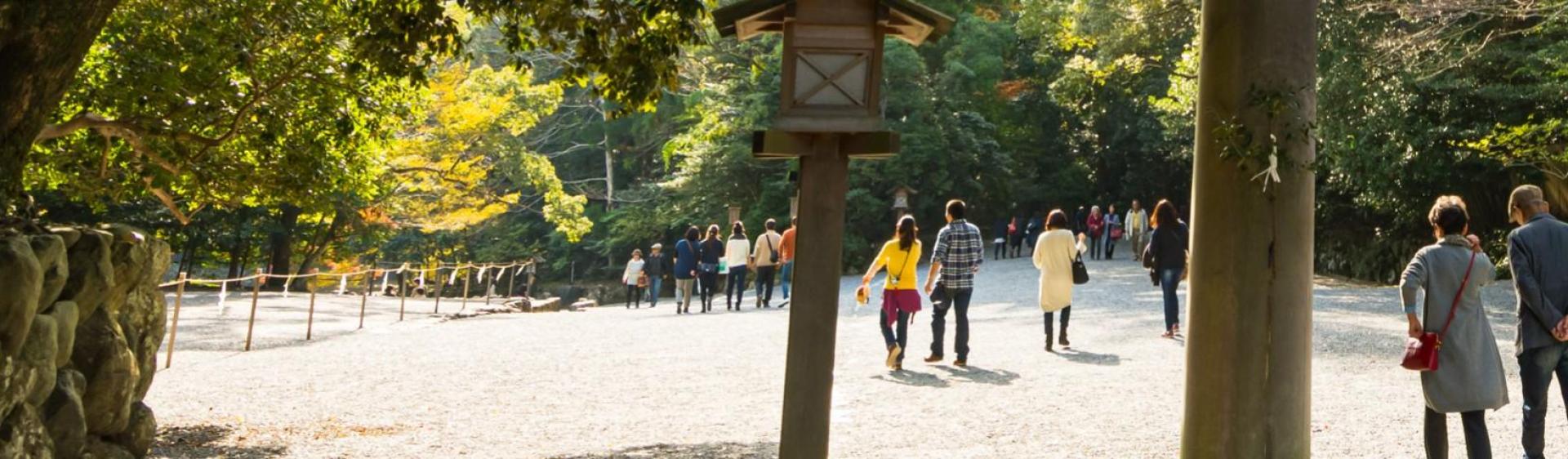 A group of people walking through park with many trees. In the foreground there is a pole and a bird house.