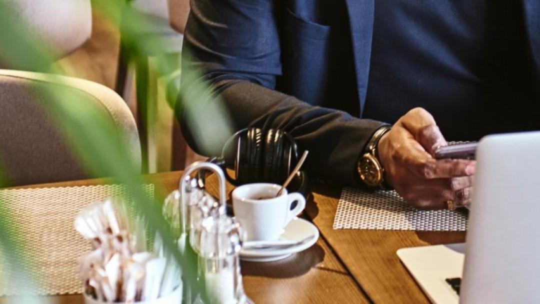 A person from the shoulders down working on a laptop at a brown table with a green plant in the foreground.