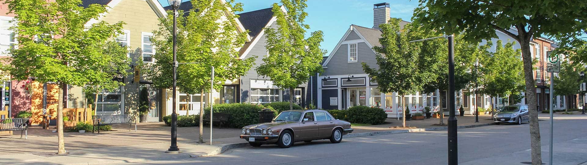 community in Pitt Meadows
