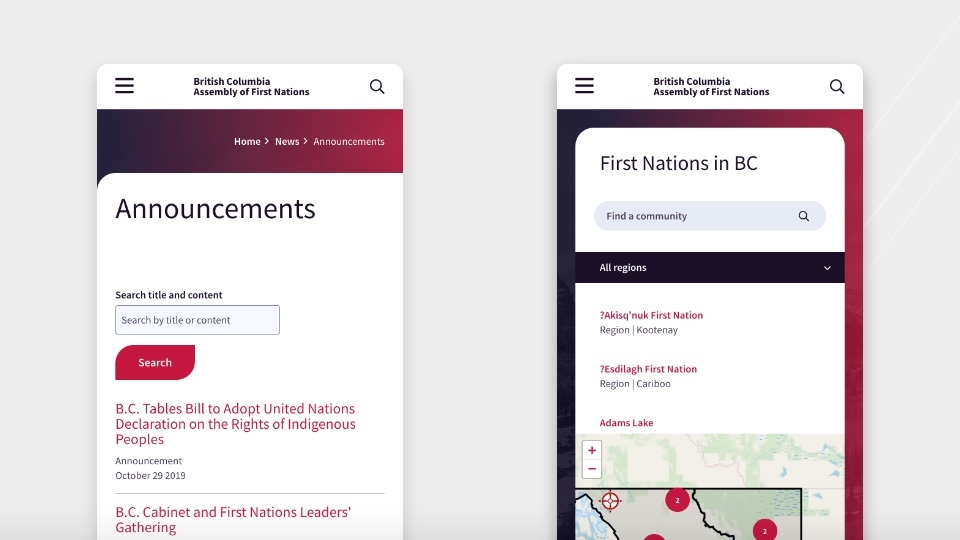 Views of BCAFN website on mobile