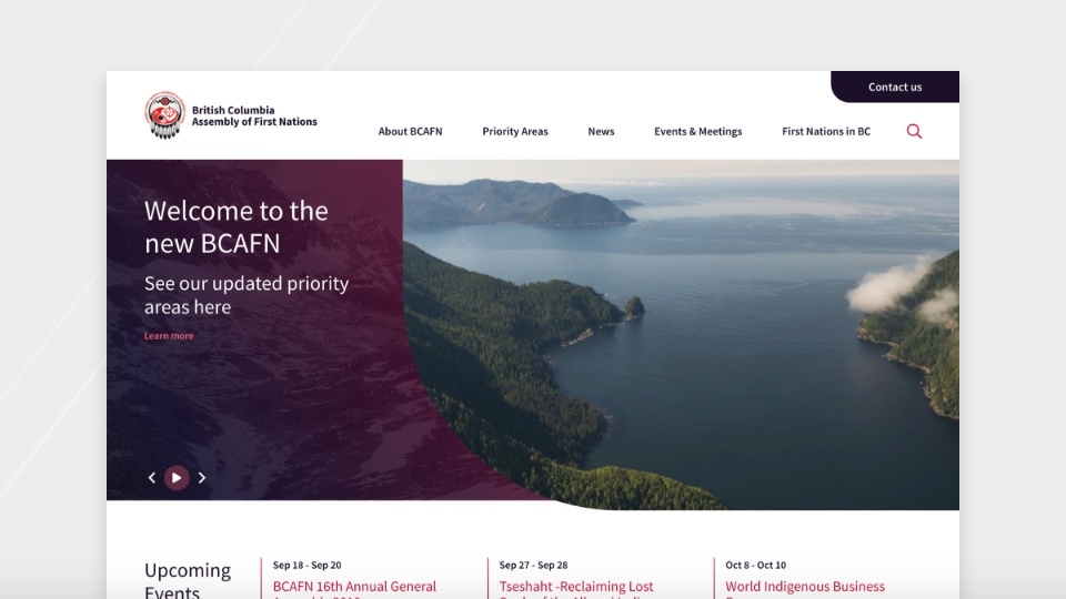 View of BCAFN website homepage
