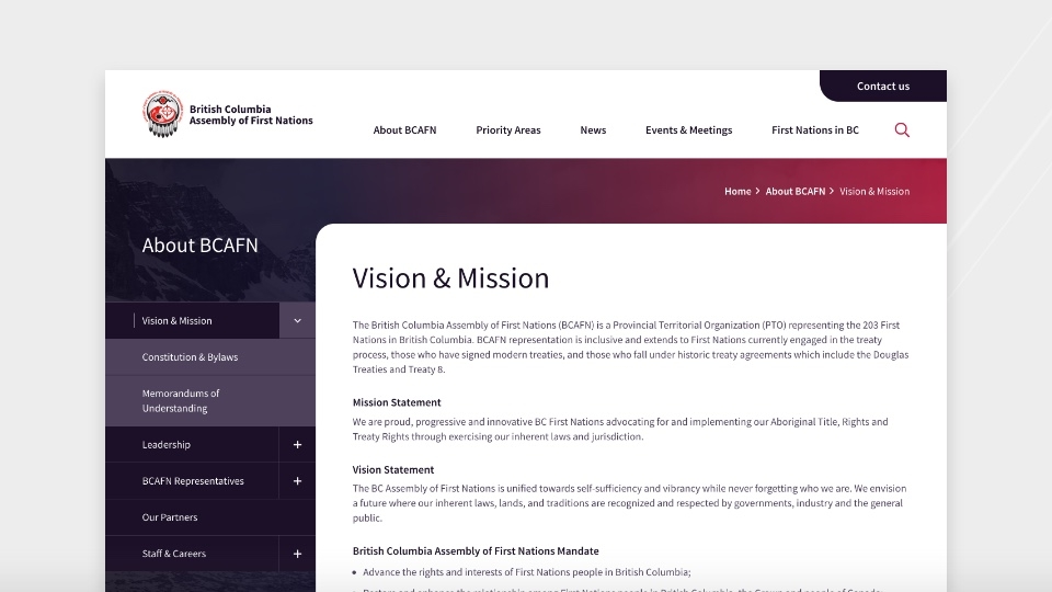 View of BCAFN website inside page