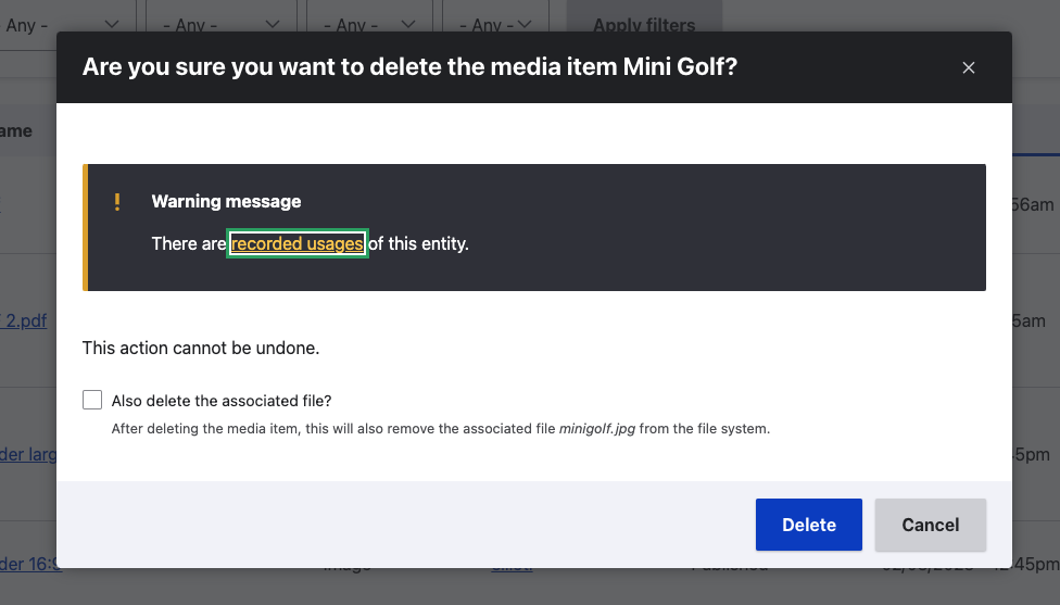 A screenshot showing the screen that pops up when deleting a media item. This screen has a warning about media usage and a checkbox to delete the associated file.
